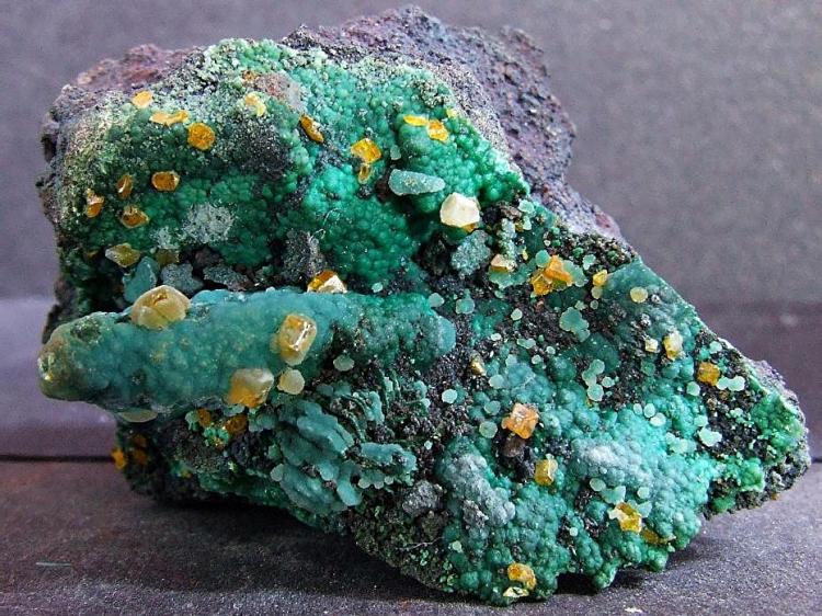 Whim Creek Wulfenite on Malachite (4).jpg