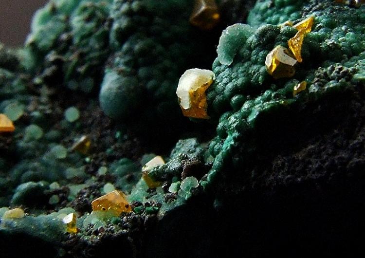 Whim Creek Wulfenite on Malachite (6).jpg