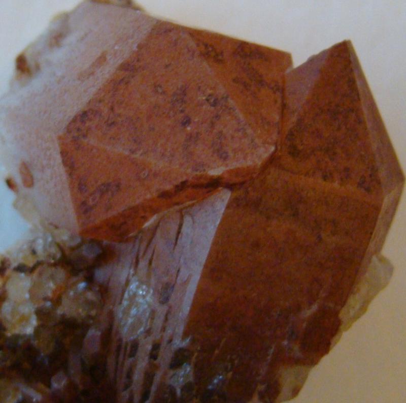 zDSC09465.JPG